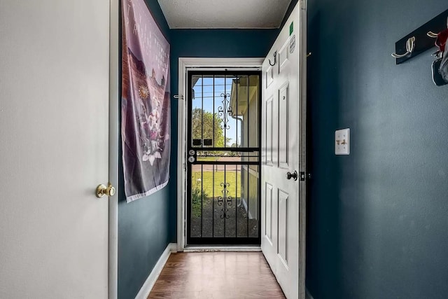 3225 Towne Village Rd E, Antioch, TN 37013 - entryway featuring baseboards and wood finished floors