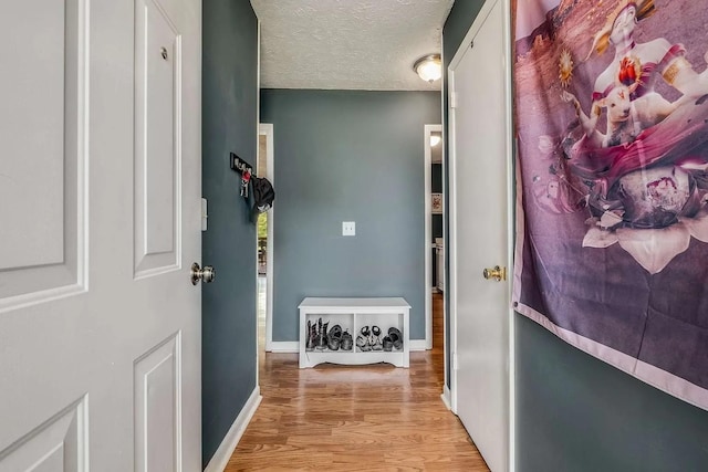3225 Towne Village Rd E, Antioch, TN 37013 - corridor featuring light wood-style flooring, baseboards, and a textured ceiling