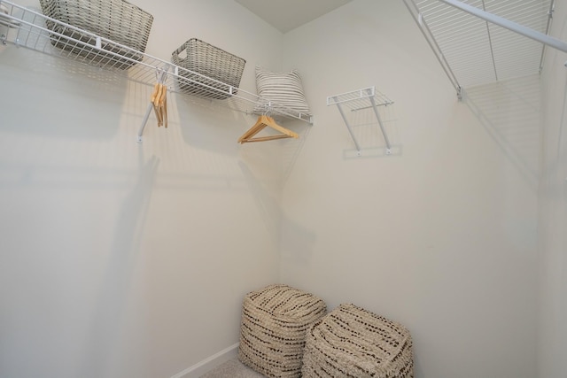 5047 Dayflower Dr, Hermitage, TN 37076 - walk in closet with carpet floors