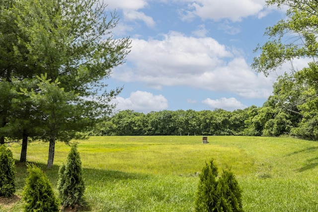 1825 Barnstaple Ln, Brentwood, TN 37027 - view of green lawn with a view of countryside and a view of trees