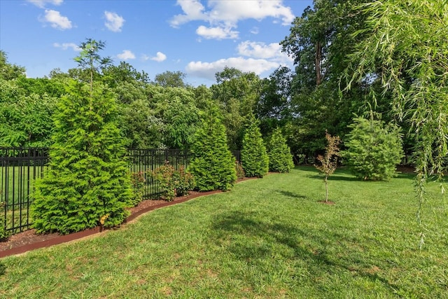 1076 Pretender Way, Columbia, TN 38401 - view of yard