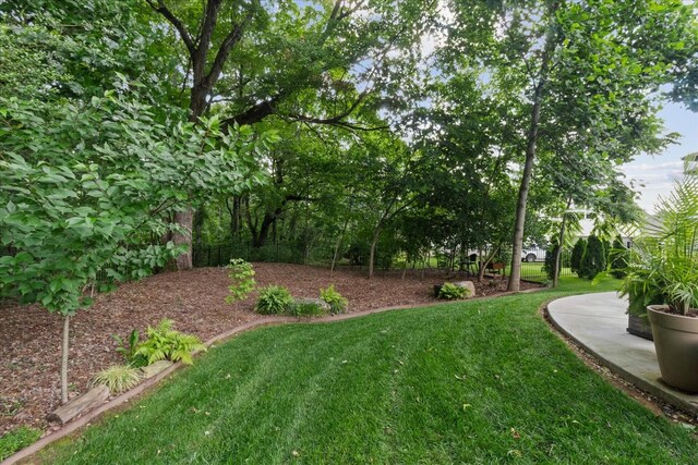 1076 Pretender Way, Columbia, TN 38401 - view of green lawn