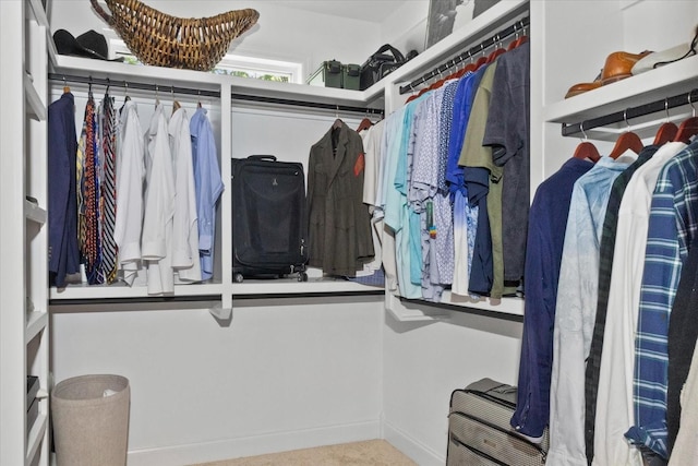 1076 Pretender Way, Columbia, TN 38401 - view of walk in closet
