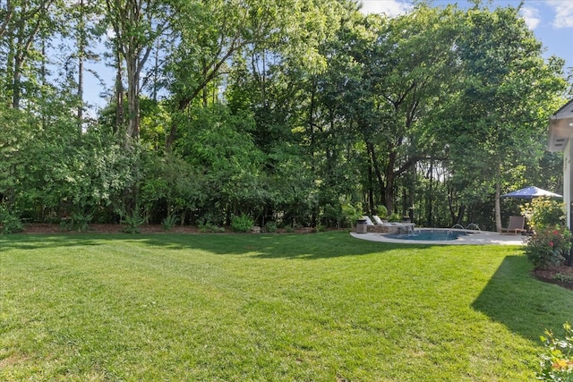 1076 Pretender Way, Columbia, TN 38401 - view of grassy yard with an outdoor pool