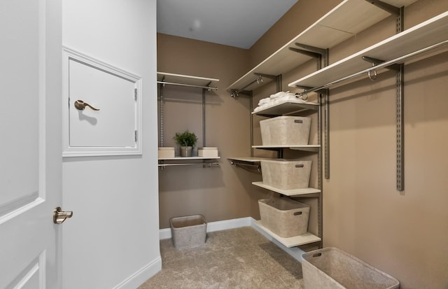 192 Sharp Way, Murfreesboro, TN 37128 - walk in closet featuring carpet