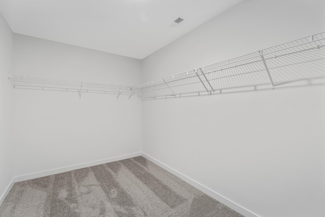 2655 Burton Dr, White House, TN 37188 - walk in closet featuring carpet flooring