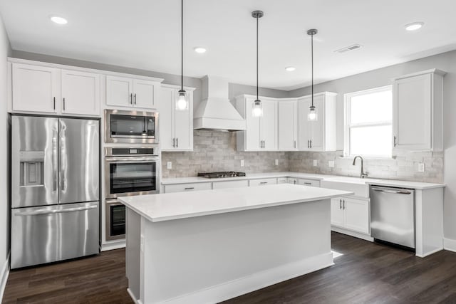2655 Burton Dr, White House, TN 37188 - kitchen featuring stainless steel appliances, premium range hood, dark wood-style flooring, a sink, and decorative backsplash