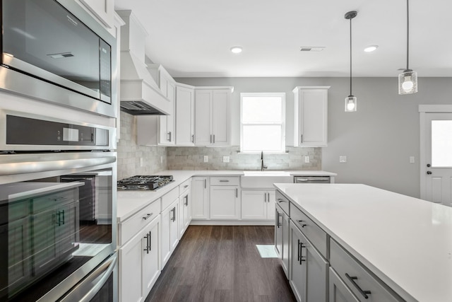 2655 Burton Dr, White House, TN 37188 - kitchen with stainless steel appliances, a sink, premium range hood, light countertops, and decorative backsplash