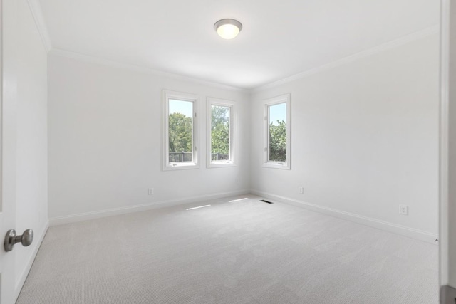 254 Davis Rd, Lebanon, TN 37087 - empty room with ornamental molding, carpet floors, and baseboards