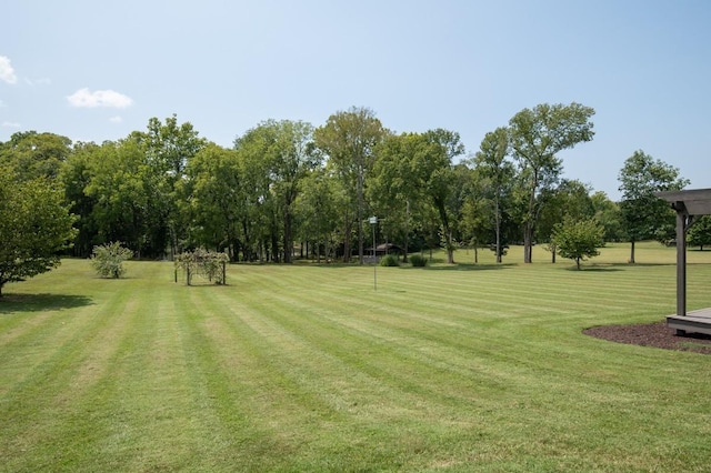 254 Davis Rd, Lebanon, TN 37087 - view of green lawn with view of wooded area
