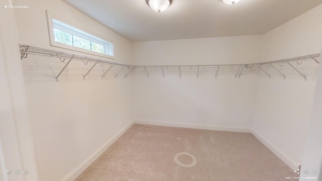 2408 Oakmont Ln, Mount Juliet, TN 37122 - walk in closet with light carpet