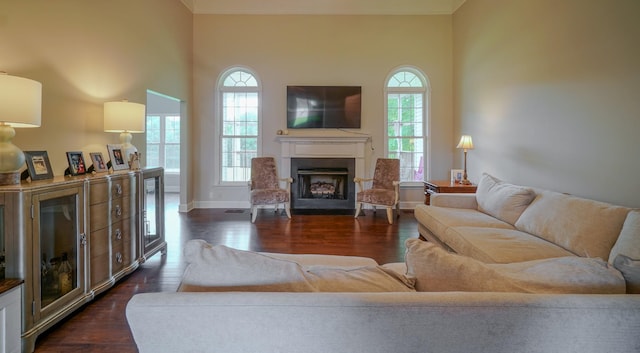 3302 Foxtrot Ct, Spring Hill, TN 37174 - living area with a fireplace, baseboards, and dark wood-style floors