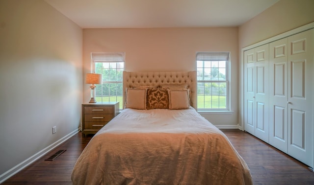 3302 Foxtrot Ct, Spring Hill, TN 37174 - bedroom with multiple windows, baseboards, dark wood-style flooring, and a closet