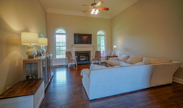 3302 Foxtrot Ct, Spring Hill, TN 37174 - living area with a fireplace, dark wood-type flooring, a ceiling fan, baseboards, and crown molding