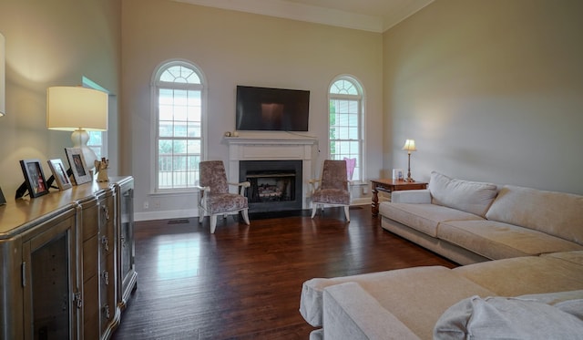 3302 Foxtrot Ct, Spring Hill, TN 37174 - living area with baseboards, dark wood-type flooring, a fireplace, and ornamental molding