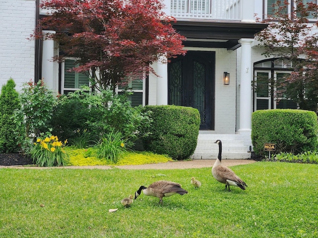 106 Ashton Park Blvd, Franklin, TN 37067 - entrance to property with brick siding, a balcony, and a yard
