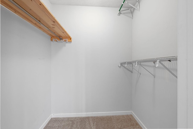 97 Whitefield Ln, Carthage, TN 37030 - walk in closet with carpet floors