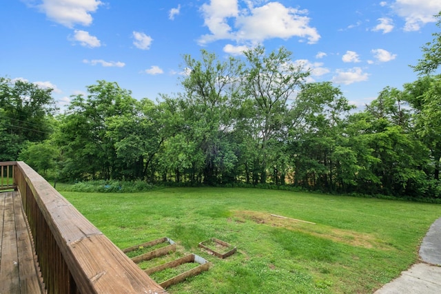 97 Whitefield Ln, Carthage, TN 37030 - view of green lawn with a vegetable garden