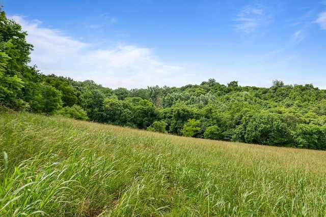 2223 Simmons Ridge Rd, Cornersville, TN 37047 - view of tree filled area