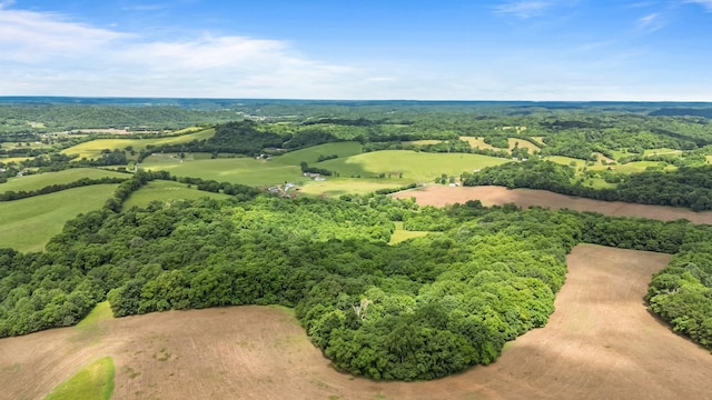 2223 Simmons Ridge Rd, Cornersville, TN 37047 - drone / aerial view of a forest