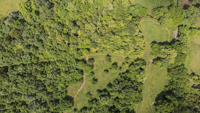 2223 Simmons Ridge Rd, Cornersville, TN 37047 - bird's eye view