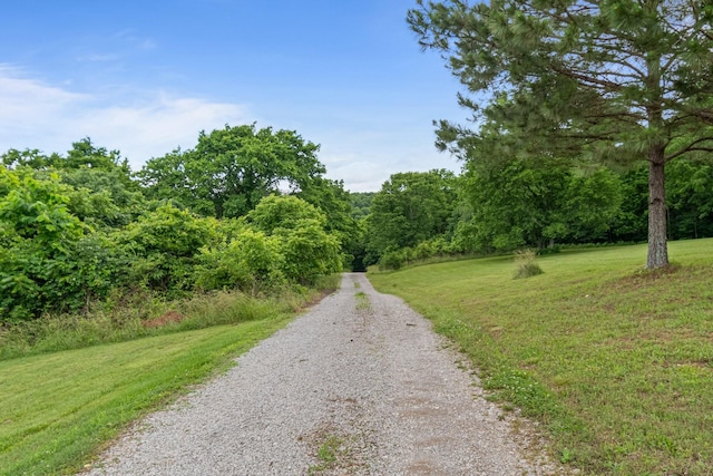 2223 Simmons Ridge Rd, Cornersville, TN 37047 - view of dirt / gravel road featuring a forest view