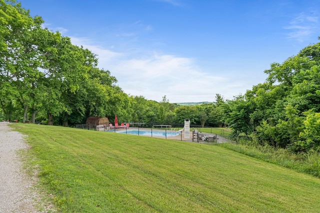 2223 Simmons Ridge Rd, Cornersville, TN 37047 - view of yard