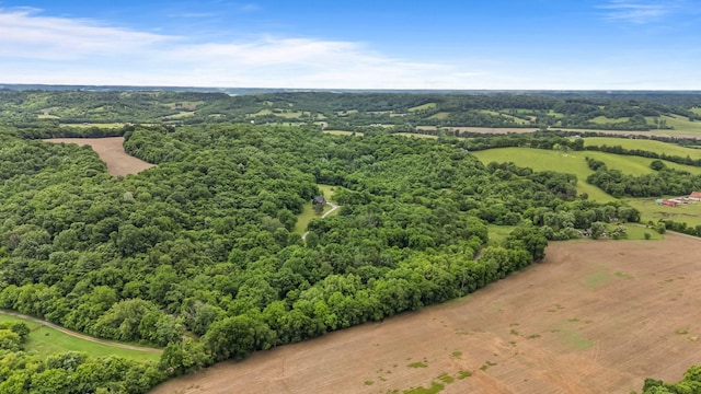 2223 Simmons Ridge Rd, Cornersville, TN 37047 - drone / aerial view of a forest