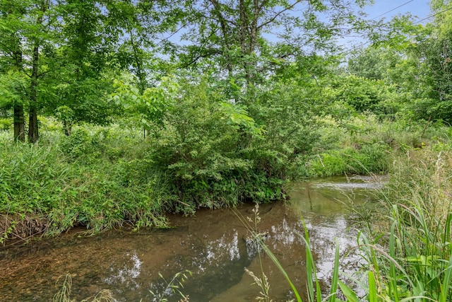 2223 Simmons Ridge Rd, Cornersville, TN 37047 - water view