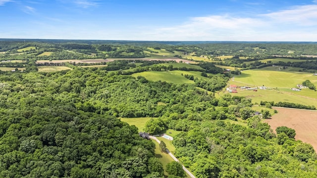 2223 Simmons Ridge Rd, Cornersville, TN 37047 - bird's eye view of a heavily wooded area