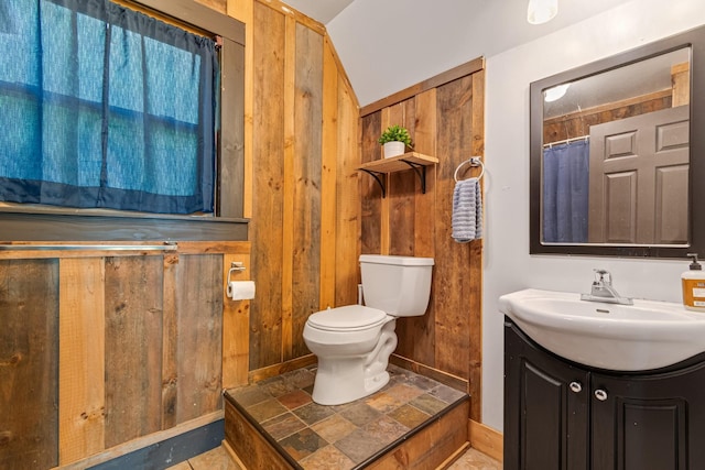 2223 Simmons Ridge Rd, Cornersville, TN 37047 - full bathroom featuring vanity, toilet, wooden walls, baseboards, and vaulted ceiling