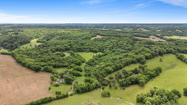 2223 Simmons Ridge Rd, Cornersville, TN 37047 - view of rural area