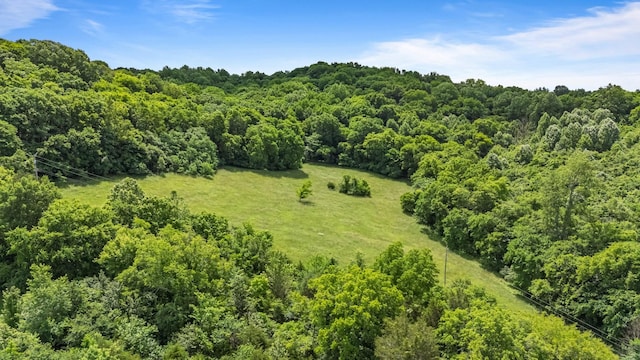 2223 Simmons Ridge Rd, Cornersville, TN 37047 - aerial view of a heavily wooded area