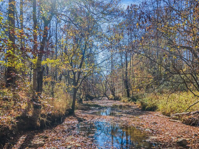 761 Metal Ford Rd, Hohenwald, TN 38462 - photo 8