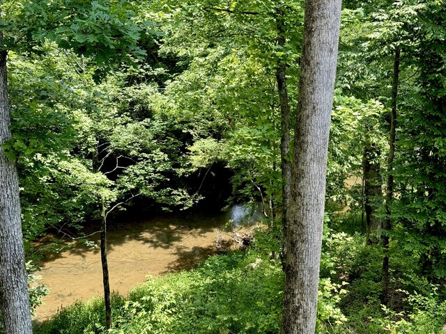 761 Metal Ford Rd, Hohenwald, TN 38462 - photo 56