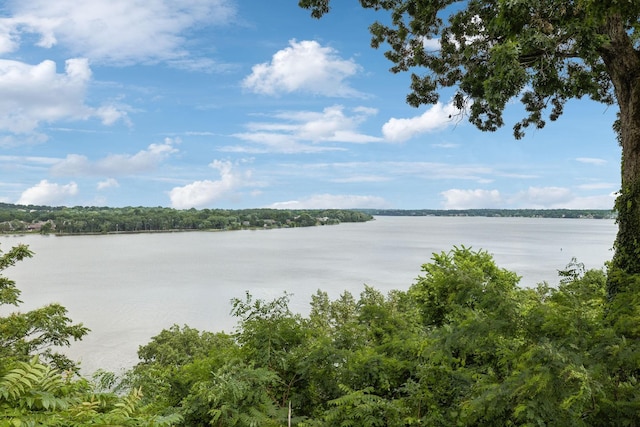 511 Jones St Unit C3, Old Hickory, TN 37138 - water view