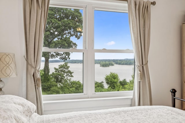 511 Jones St Unit C3, Old Hickory, TN 37138 - bedroom featuring a water view