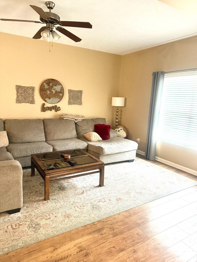 284 Meigs Dr Unit C19, Murfreesboro, TN 37128 - living room featuring ceiling fan, wood finished floors, and baseboards