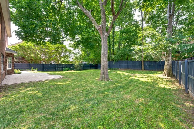 3113 Friars Bridge Pass, Franklin, TN 37064 - view of yard with a patio