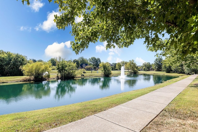 3113 Friars Bridge Pass, Franklin, TN 37064 - water view