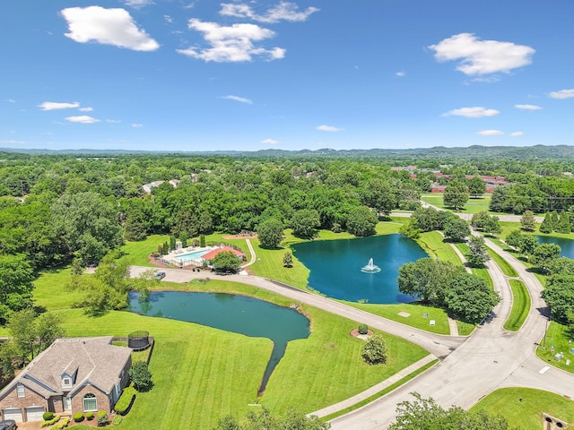 3113 Friars Bridge Pass, Franklin, TN 37064 - bird's eye view of a large body of water and a forest