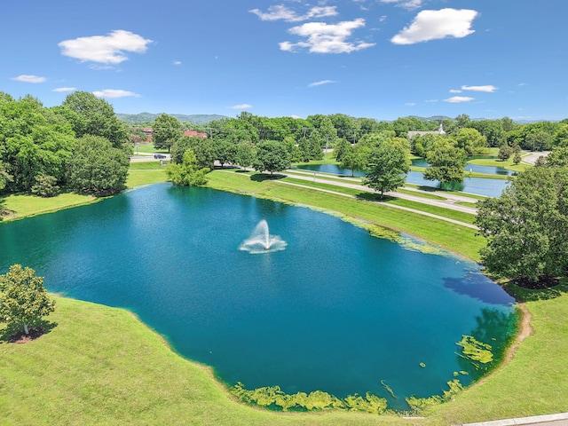 3113 Friars Bridge Pass, Franklin, TN 37064 - aerial view of a large body of water and a tree filled landscape