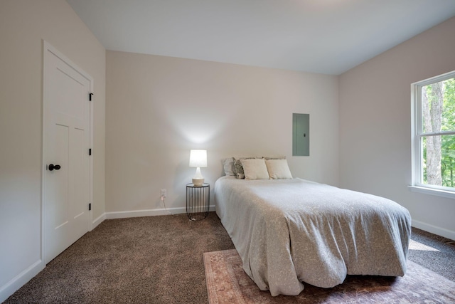 766 Billy Wynn Rd, Dickson, TN 37055 - carpeted bedroom with electric panel and baseboards