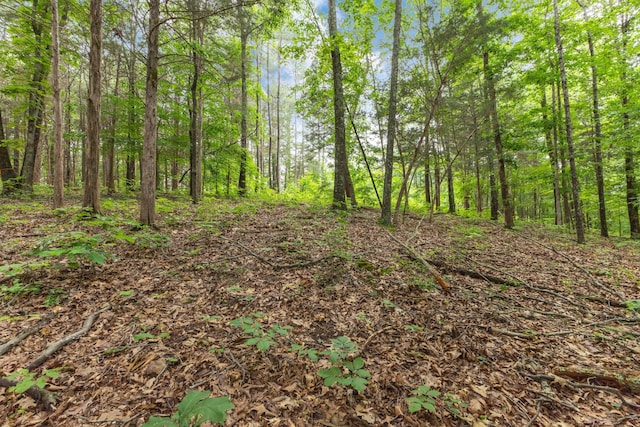 5082 Moorefield Rd, Cunningham, TN 37052