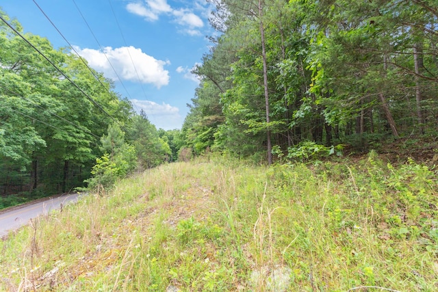 5082 Moorefield Rd, Cunningham, TN 37052