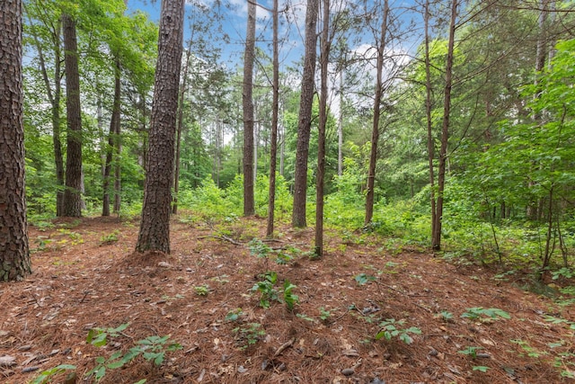 5082 Moorefield Rd, Cunningham, TN 37052