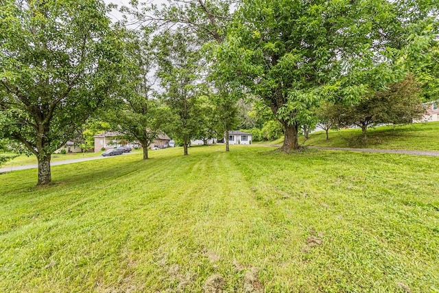 4044 Brick Church Pike, Nashville, TN 37207 - view of green lawn