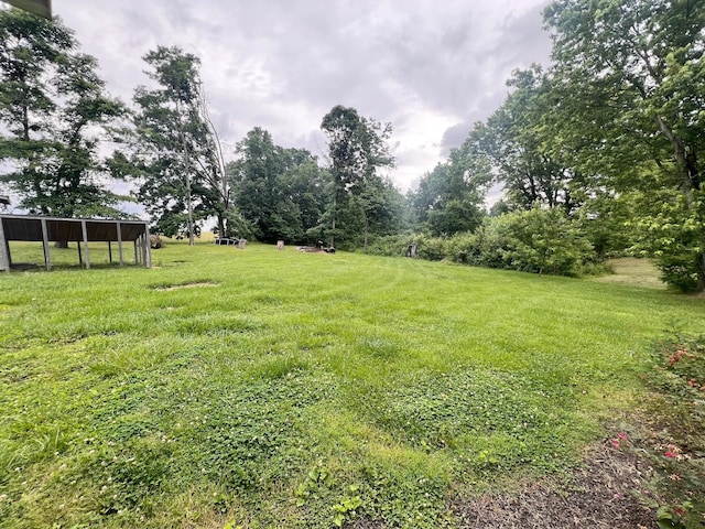 783 Galen Rd, Lafayette, TN 37083 - view of grassy yard