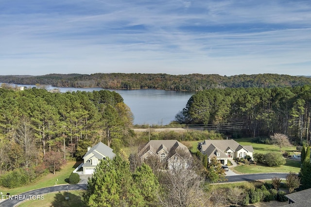 306 Awohili Ln, Loudon, TN 37774 - photo 8