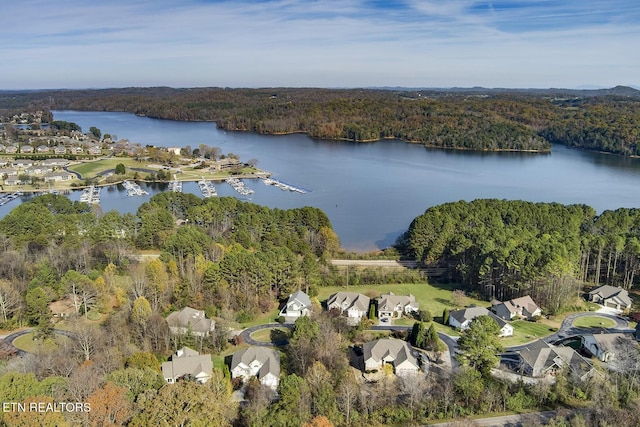306 Awohili Ln, Loudon, TN 37774 - photo 12